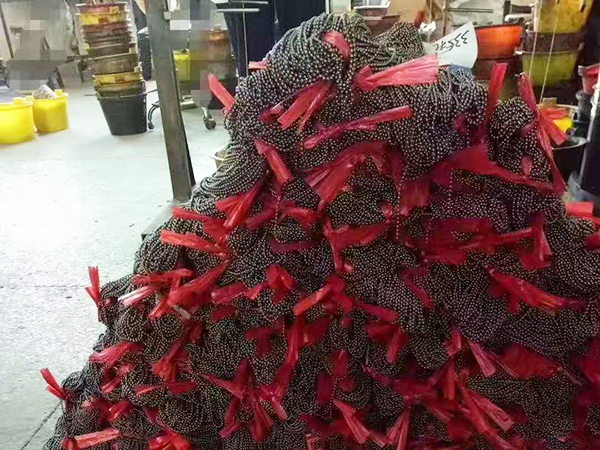 厂房一侧